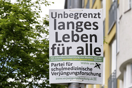 Wahlplakate zur Europawahl in Berlin