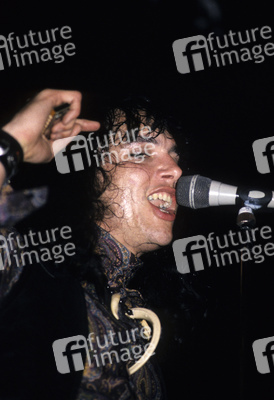 Konzert von The Fuzztones in London