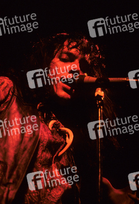 Konzert von The Fuzztones in London