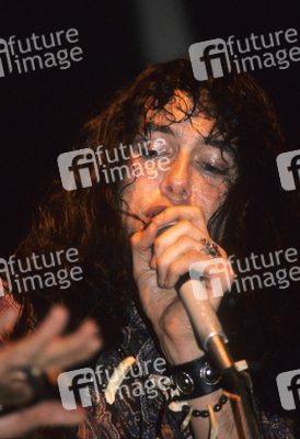 Konzert von The Fuzztones in London