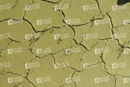 Ausgetrocknete Pfütze