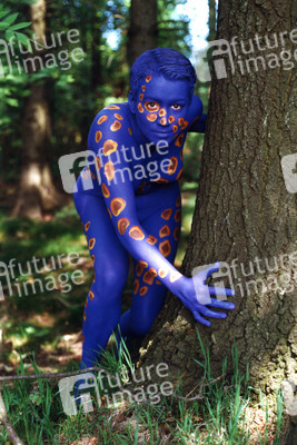 Blaue Waldfee / Blue Fairy