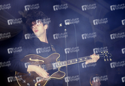 Konzert von Echo & the Bunnymen