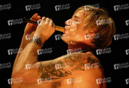 Das letzte Einhorn / Michael Robert Rhein