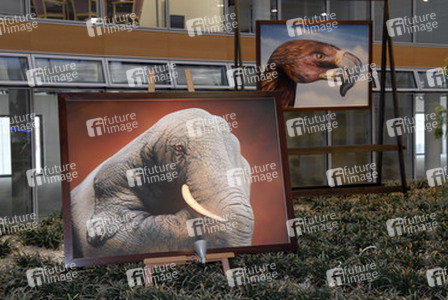 Fotos von Bodypaintings von Händen vor Hintergrund