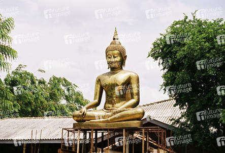 Buddha Statue