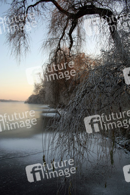 See im Winter
