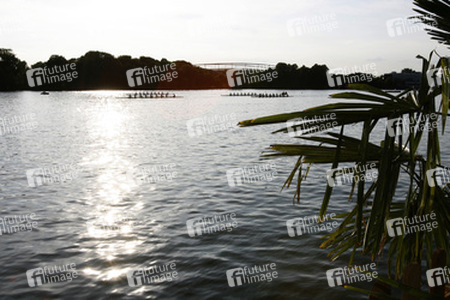 Ruderer auf dem Maschsee
