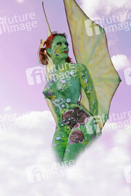 Schmetterling / Butterfly