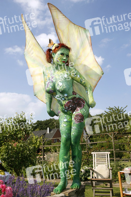 Schmetterling / Butterfly