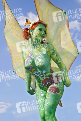 Schmetterling / Butterfly