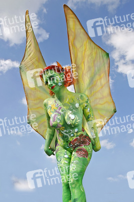 Schmetterling / Butterfly