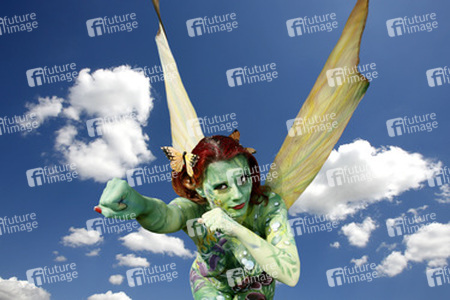 Schmetterling / Butterfly