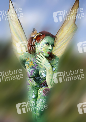 Schmetterling / Butterfly