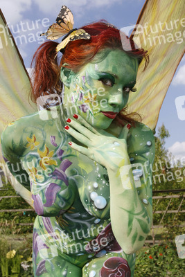 Schmetterling / Butterfly