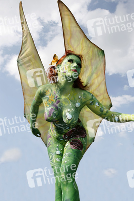 Schmetterling / Butterfly