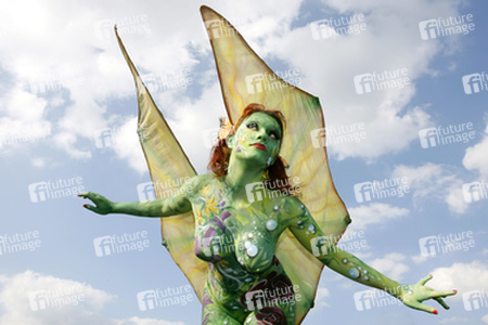 Schmetterling / Butterfly