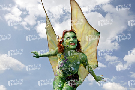 Schmetterling / Butterfly