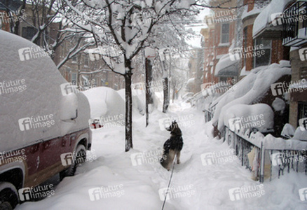 Schneegestöber in Ridgewood, Queens