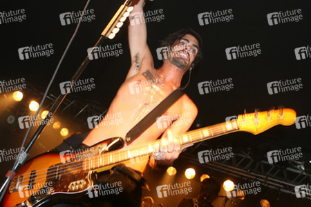 Tyson Ritter (The All-American Rejects)