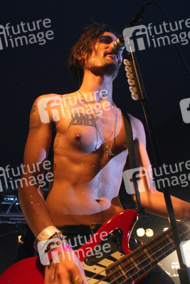 Tyson Ritter (The All-American Rejects)