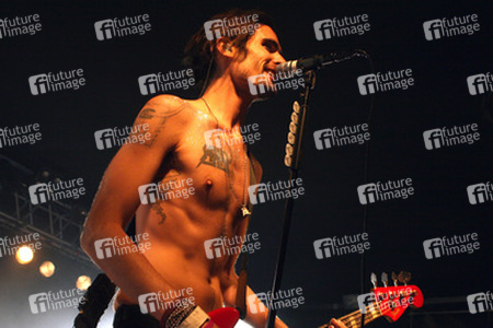 Tyson Ritter (The All-American Rejects)