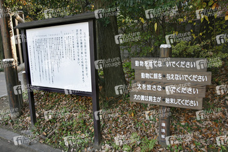 In den Kaiserlichen Gärten