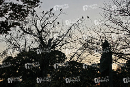 Samurai Statue am Kaiserlichen Garten