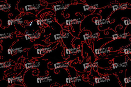 Chamäleon / Chameleon