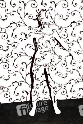 Chamäleon / Chameleon