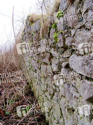 Mauer mit Moos