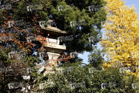 Am Weg zum Yasukuni-Schrein