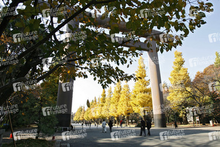Torbogen auf dem Weg zum Yasukuni-Schrein