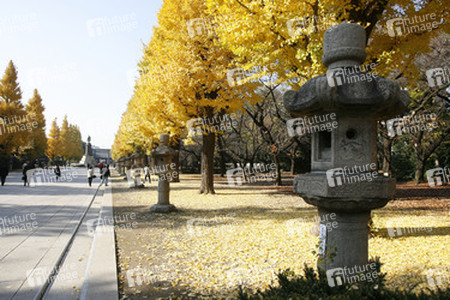 Am Weg zum Yasukuni-Schrein