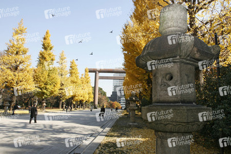 Torbogen auf dem Weg zum Yasukuni-Schrein