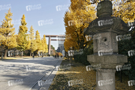 Torbogen auf dem Weg zum Yasukuni-Schrein