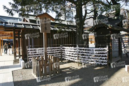 Omikuji am Yasukuni-Schrein