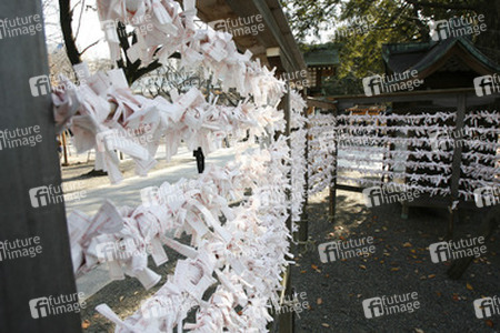 Omikuji am Yasukuni-Schrein