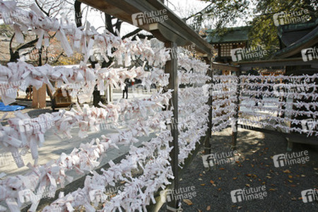Omikuji am Yasukuni-Schrein
