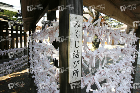 Omikuji am Yasukuni-Schrein