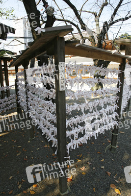 Omikuji am Yasukuni-Schrein