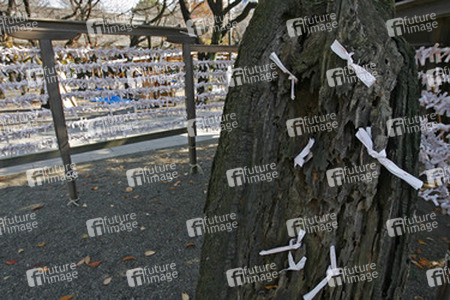 Omikuji am Yasukuni-Schrein