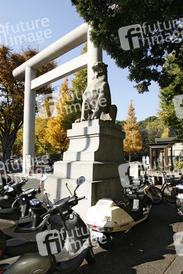 Torbogen auf dem Weg zum Yasukuni-Schrein