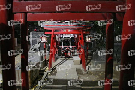 Am Hanazono-jinja Schrein