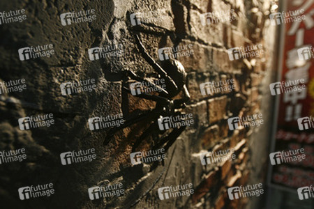 Spinne am Eingang zum Themen-Love Hotel Malta in Shinjuku