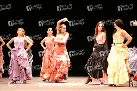 Carmen Flamenco Ensemble