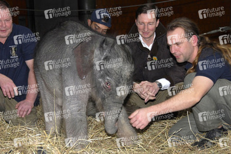 Elefanten-Baby Jamuna Toni