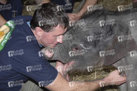 Elefanten-Baby Jamuna Toni