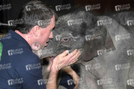 Elefanten-Baby Jamuna Toni