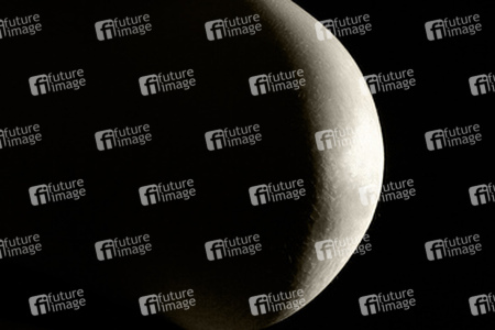 Schwanger / Pregnant